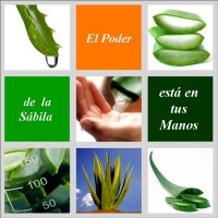 /album/jabonbioaloe/el-poder-de-la-sabila-jpg1/